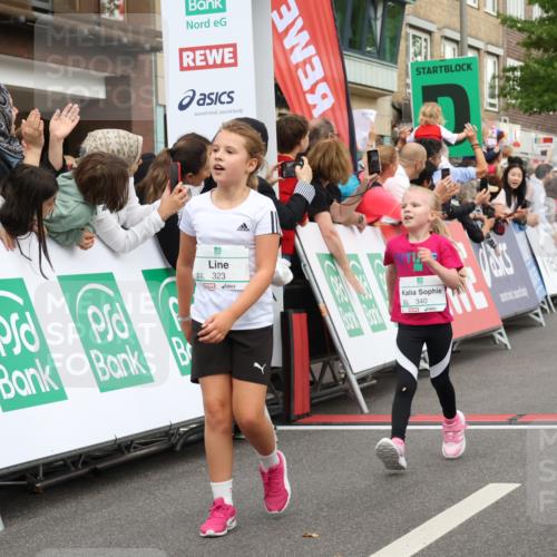 21.09.2025 - PSD Bank Halbmarathon Strokosch-Dieckow http://msf.ph/oto/8939242 21.09.2025 10:31:15 Ziel 177, 277, 315, 323, 340, 413 meine-sportfotos.de