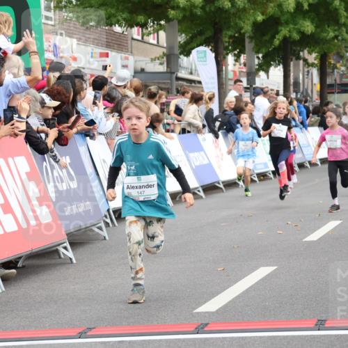 21.09.2025 - PSD Bank Halbmarathon Strokosch-Dieckow http://msf.ph/oto/8939267 21.09.2025 10:31:33 Ziel 139, 147, 148, 287, 311, 326, 352, 376, 387, 439 meine-sportfotos.de