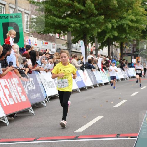 21.09.2025 - PSD Bank Halbmarathon Strokosch-Dieckow http://msf.ph/oto/8939286 21.09.2025 10:31:50 Ziel 122, 224, 404, 454, 463 meine-sportfotos.de