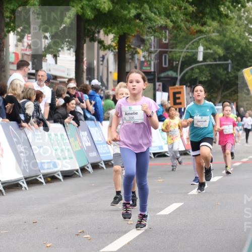 21.09.2025 - PSD Bank Halbmarathon Strokosch-Dieckow http://msf.ph/oto/8939305 21.09.2025 10:32:07 Ziel 208, 336 meine-sportfotos.de