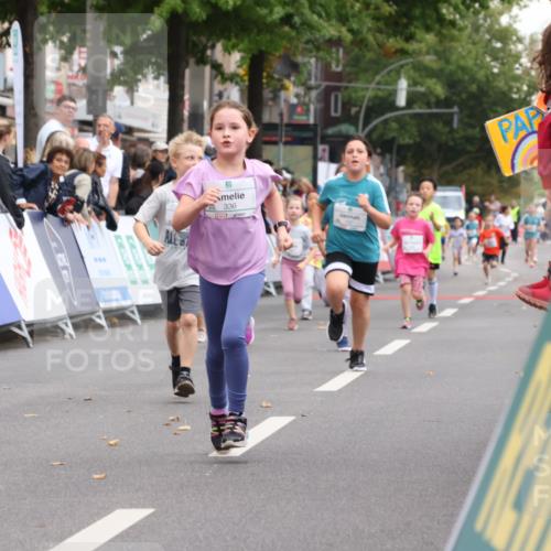 21.09.2025 - PSD Bank Halbmarathon Strokosch-Dieckow http://msf.ph/oto/8939306 21.09.2025 10:32:08 Ziel 110, 137, 208, 336 meine-sportfotos.de