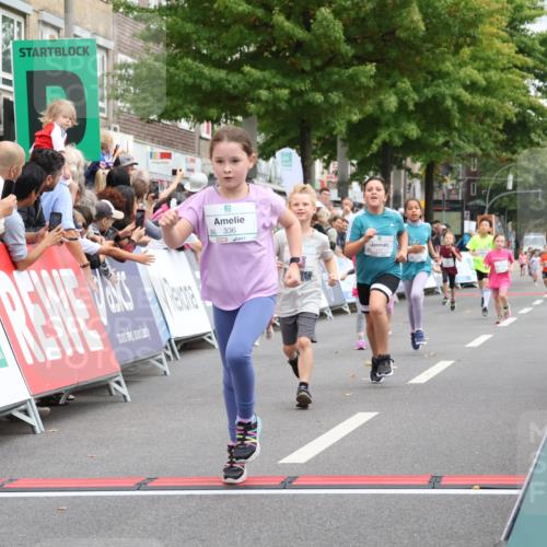 21.09.2025 - PSD Bank Halbmarathon Strokosch-Dieckow http://msf.ph/oto/8939308 21.09.2025 10:32:11 Ziel 110, 135, 137, 208, 259, 260, 309, 336 meine-sportfotos.de