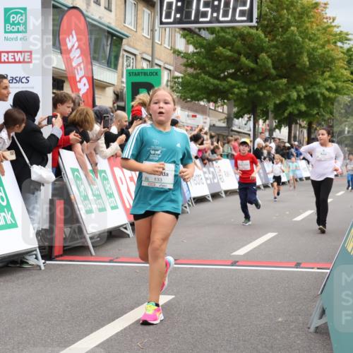 21.09.2025 - PSD Bank Halbmarathon Strokosch-Dieckow http://msf.ph/oto/8939323 21.09.2025 10:32:33 Ziel 133, 159, 173, 238, 282, 368 meine-sportfotos.de