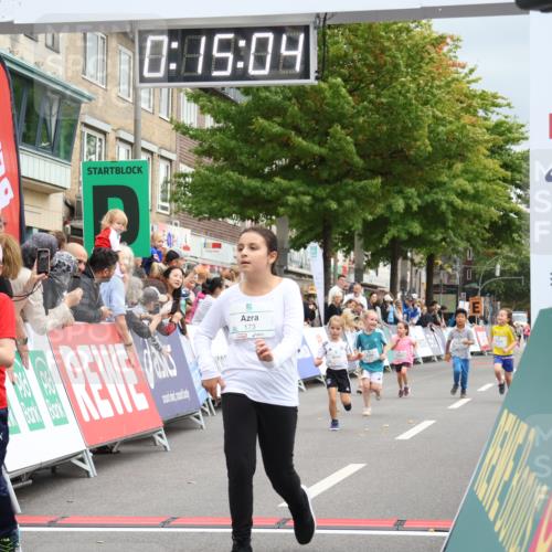 21.09.2025 - PSD Bank Halbmarathon Strokosch-Dieckow http://msf.ph/oto/8939328 21.09.2025 10:32:36 Ziel 130, 133, 159, 173, 238, 273, 282, 312, 364 meine-sportfotos.de