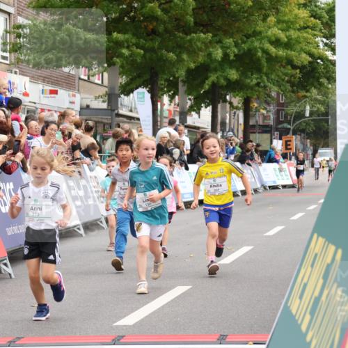 21.09.2025 - PSD Bank Halbmarathon Strokosch-Dieckow http://msf.ph/oto/8939334 21.09.2025 10:32:39 Ziel 130, 133, 159, 173, 273, 282, 312, 364, 372, 429 meine-sportfotos.de