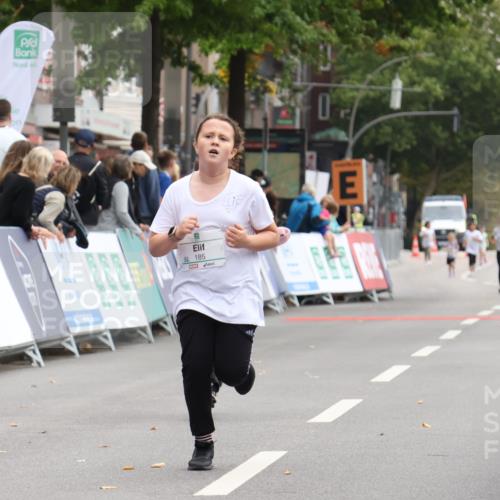 21.09.2025 - PSD Bank Halbmarathon Strokosch-Dieckow http://msf.ph/oto/8939396 21.09.2025 10:33:57 Ziel 185, 186, 308 meine-sportfotos.de