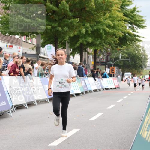 21.09.2025 - PSD Bank Halbmarathon Strokosch-Dieckow http://msf.ph/oto/8939403 21.09.2025 10:34:14 Ziel 171 meine-sportfotos.de