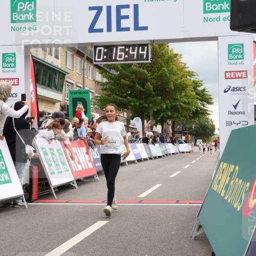 21.09.2025 - PSD Bank Halbmarathon Strokosch-Dieckow http://msf.ph/oto/8939405 21.09.2025 10:34:15 Ziel 171 meine-sportfotos.de