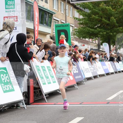 21.09.2025 - PSD Bank Halbmarathon Strokosch-Dieckow http://msf.ph/oto/8939416 21.09.2025 10:34:43 Ziel 313 meine-sportfotos.de