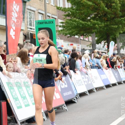 21.09.2025 - PSD Bank Halbmarathon Strokosch-Dieckow http://msf.ph/oto/8940200 21.09.2025 11:32:08 Ziel 1167, 1326, 1852, 2109 meine-sportfotos.de