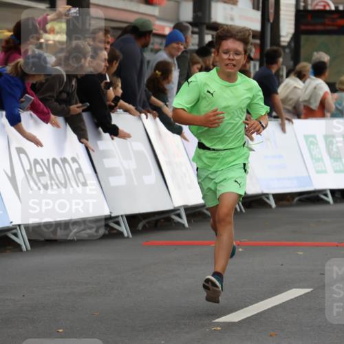 21.09.2025 - PSD Bank Halbmarathon Strokosch-Dieckow http://msf.ph/oto/8940398 21.09.2025 10:25:30 Ziel 206, 268 meine-sportfotos.de