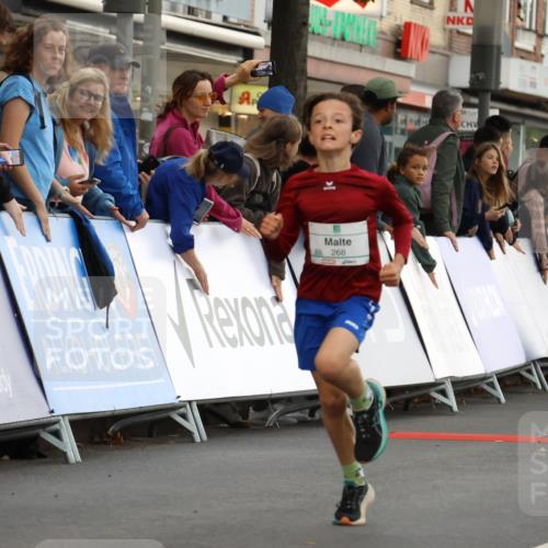 21.09.2025 - PSD Bank Halbmarathon Strokosch-Dieckow http://msf.ph/oto/8940430 21.09.2025 10:25:36 Ziel 206, 268 meine-sportfotos.de
