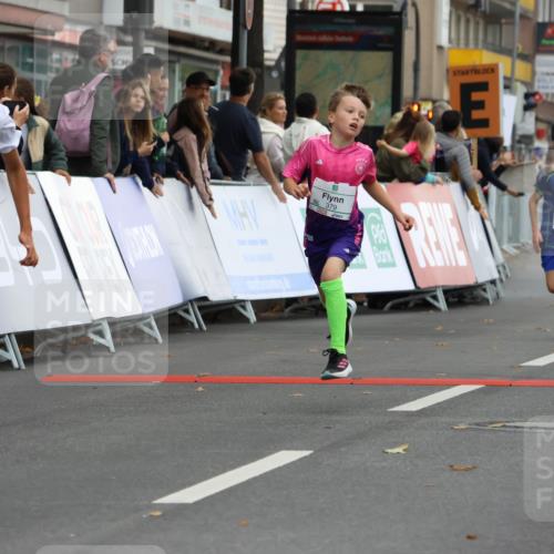 21.09.2025 - PSD Bank Halbmarathon Strokosch-Dieckow http://msf.ph/oto/8940864 21.09.2025 10:26:36 Ziel 111, 143, 297, 347, 348, 379, 396 meine-sportfotos.de
