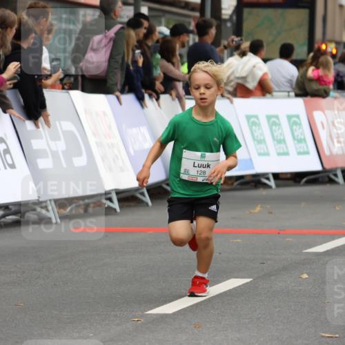 21.09.2025 - PSD Bank Halbmarathon Strokosch-Dieckow http://msf.ph/oto/8941161 21.09.2025 10:27:21 Ziel 101, 128, 239, 242, 247, 292, 298, 329, 330, 391, 398 meine-sportfotos.de