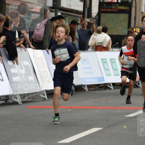 21.09.2025 - PSD Bank Halbmarathon Strokosch-Dieckow http://msf.ph/oto/8941259 21.09.2025 10:27:28 Ziel 101, 128, 247, 249, 292, 341, 342, 391 meine-sportfotos.de