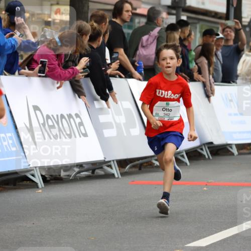 21.09.2025 - PSD Bank Halbmarathon Strokosch-Dieckow http://msf.ph/oto/8941297 21.09.2025 10:27:32 Ziel 101, 107, 149, 247, 249, 262, 292, 341, 342, 391, 392, 399 meine-sportfotos.de