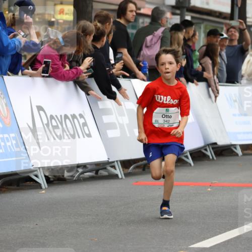 21.09.2025 - PSD Bank Halbmarathon Strokosch-Dieckow http://msf.ph/oto/8941301 21.09.2025 10:27:32 Ziel 101, 107, 149, 247, 249, 262, 292, 341, 342, 391, 392, 399 meine-sportfotos.de