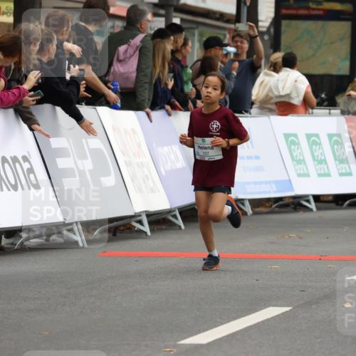 21.09.2025 - PSD Bank Halbmarathon Strokosch-Dieckow http://msf.ph/oto/8941334 21.09.2025 10:27:35 Ziel 101, 107, 149, 249, 262, 341, 342, 362, 391, 392, 399 meine-sportfotos.de