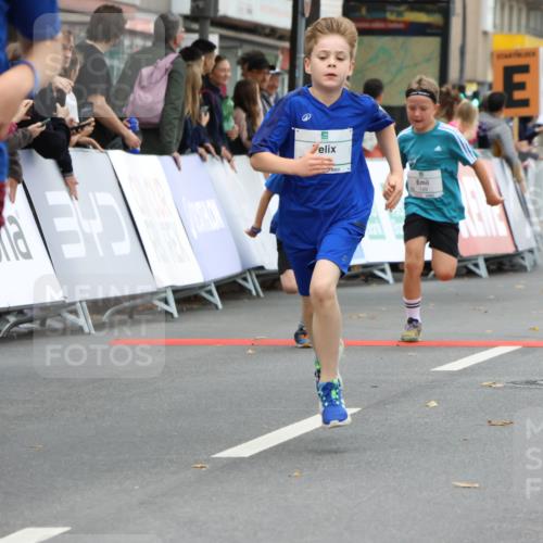 21.09.2025 - PSD Bank Halbmarathon Strokosch-Dieckow http://msf.ph/oto/8941421 21.09.2025 10:27:38 Ziel 107, 149, 249, 262, 341, 342, 362, 392, 399, 436 meine-sportfotos.de