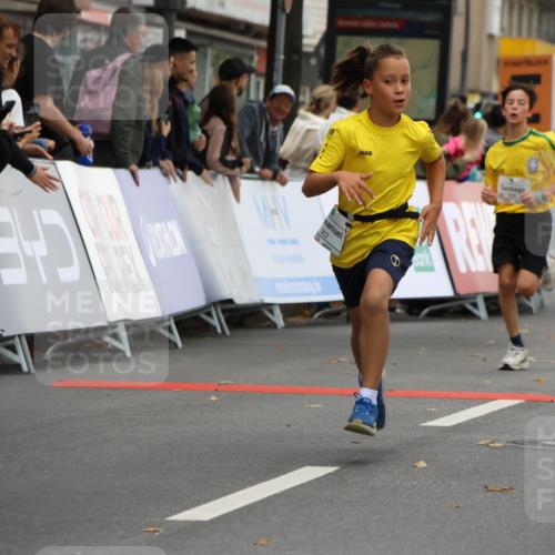 21.09.2025 - PSD Bank Halbmarathon Strokosch-Dieckow http://msf.ph/oto/8941472 21.09.2025 10:27:41 Ziel 107, 144, 149, 262, 342, 354, 362, 367, 392, 399, 436, 451 meine-sportfotos.de