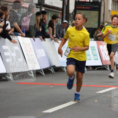 21.09.2025 - PSD Bank Halbmarathon Strokosch-Dieckow http://msf.ph/oto/8941490 21.09.2025 10:27:41 Ziel 107, 144, 149, 262, 342, 354, 362, 367, 392, 399, 436, 451 meine-sportfotos.de