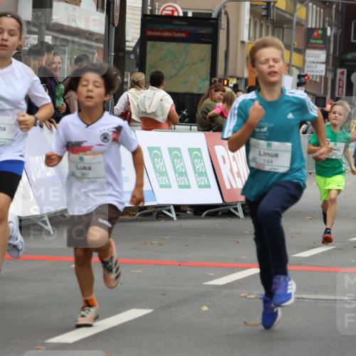 21.09.2025 - PSD Bank Halbmarathon Strokosch-Dieckow http://msf.ph/oto/8941577 21.09.2025 10:27:48 Ziel 144, 149, 203, 241, 254, 262, 289, 354, 362, 367, 401, 436, 451 meine-sportfotos.de