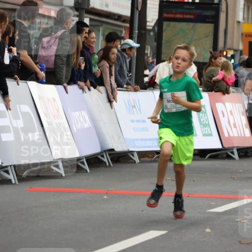 21.09.2025 - PSD Bank Halbmarathon Strokosch-Dieckow http://msf.ph/oto/8941595 21.09.2025 10:27:50 Ziel 144, 203, 241, 254, 289, 354, 362, 367, 401, 436, 451 meine-sportfotos.de