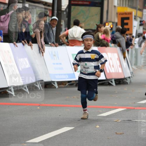 21.09.2025 - PSD Bank Halbmarathon Strokosch-Dieckow http://msf.ph/oto/8941687 21.09.2025 10:28:00 Ziel 203, 241, 253, 254, 289, 356, 401, 411, 425, 442 meine-sportfotos.de