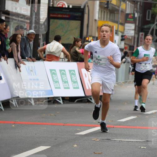 21.09.2025 - PSD Bank Halbmarathon Strokosch-Dieckow http://msf.ph/oto/8941715 21.09.2025 10:28:01 Ziel 220, 241, 253, 254, 288, 289, 356, 401, 411, 425, 442 meine-sportfotos.de