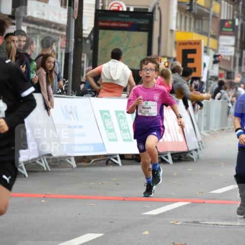 21.09.2025 - PSD Bank Halbmarathon Strokosch-Dieckow http://msf.ph/oto/8941769 21.09.2025 10:28:07 Ziel 213, 220, 253, 270, 288, 356, 411, 425, 442 meine-sportfotos.de