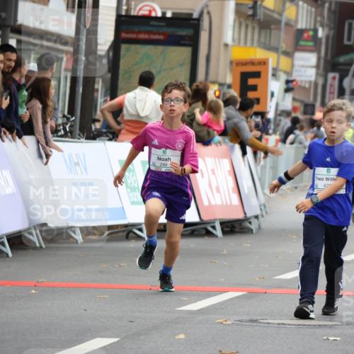 21.09.2025 - PSD Bank Halbmarathon Strokosch-Dieckow http://msf.ph/oto/8941792 21.09.2025 10:28:07 Ziel 213, 220, 253, 270, 288, 356, 411, 425, 442 meine-sportfotos.de