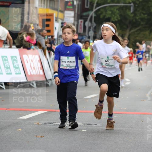 21.09.2025 - PSD Bank Halbmarathon Strokosch-Dieckow http://msf.ph/oto/8941809 21.09.2025 10:28:08 Ziel 213, 220, 240, 253, 270, 288, 356, 411, 425, 442 meine-sportfotos.de