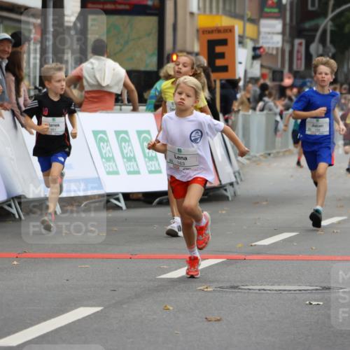 21.09.2025 - PSD Bank Halbmarathon Strokosch-Dieckow http://msf.ph/oto/8941870 21.09.2025 10:28:18 Ziel 157, 158, 163, 213, 215, 240, 270, 316, 461 meine-sportfotos.de