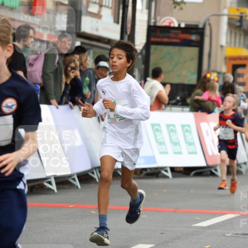 21.09.2025 - PSD Bank Halbmarathon Strokosch-Dieckow http://msf.ph/oto/8941969 21.09.2025 10:28:38 Ziel 123, 126, 150, 197, 198, 204, 205, 266, 357, 361, 371, 374, 388, 389, 408, 437 meine-sportfotos.de