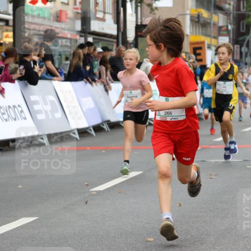 21.09.2025 - PSD Bank Halbmarathon Strokosch-Dieckow http://msf.ph/oto/8942007 21.09.2025 10:28:46 Ziel 109, 126, 142, 193, 194, 255, 266, 337, 357, 371, 388, 389, 397, 408, 412, 415, 437, 440 meine-sportfotos.de