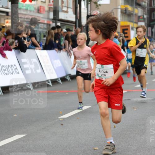 21.09.2025 - PSD Bank Halbmarathon Strokosch-Dieckow http://msf.ph/oto/8942009 21.09.2025 10:28:46 Ziel 109, 126, 142, 193, 194, 255, 266, 337, 357, 371, 388, 389, 397, 408, 412, 415, 437, 440 meine-sportfotos.de