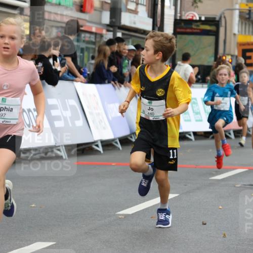 21.09.2025 - PSD Bank Halbmarathon Strokosch-Dieckow http://msf.ph/oto/8942011 21.09.2025 10:28:47 Ziel 109, 126, 142, 193, 194, 255, 258, 266, 337, 338, 357, 371, 388, 389, 397, 408, 412, 415, 437, 440 meine-sportfotos.de