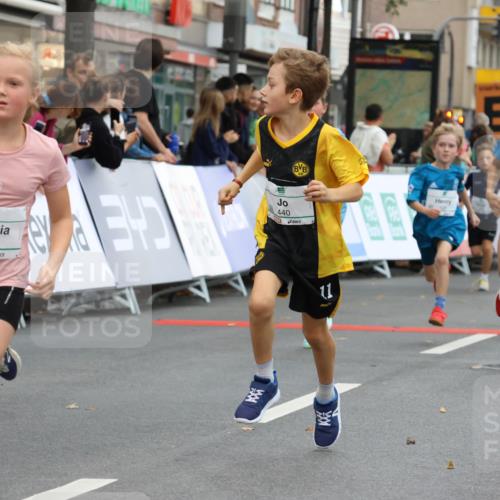 21.09.2025 - PSD Bank Halbmarathon Strokosch-Dieckow http://msf.ph/oto/8942013 21.09.2025 10:28:47 Ziel 109, 126, 142, 193, 194, 255, 258, 266, 337, 338, 357, 371, 388, 389, 397, 408, 412, 415, 437, 440 meine-sportfotos.de