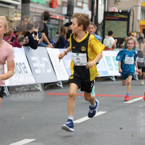 21.09.2025 - PSD Bank Halbmarathon Strokosch-Dieckow http://msf.ph/oto/8942015 21.09.2025 10:28:47 Ziel 109, 126, 142, 193, 194, 255, 258, 266, 337, 338, 357, 371, 388, 389, 397, 408, 412, 415, 437, 440 meine-sportfotos.de