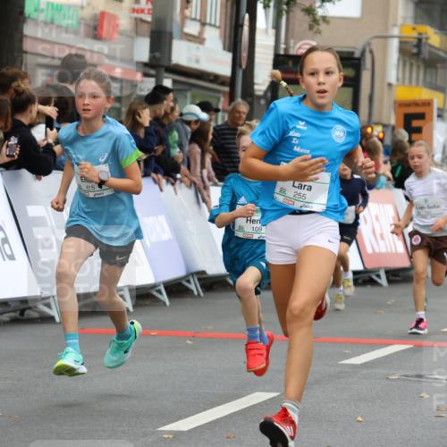 21.09.2025 - PSD Bank Halbmarathon Strokosch-Dieckow http://msf.ph/oto/8942021 21.09.2025 10:28:49 Ziel 109, 126, 142, 193, 194, 255, 258, 266, 337, 338, 357, 371, 388, 389, 397, 408, 412, 415, 440 meine-sportfotos.de