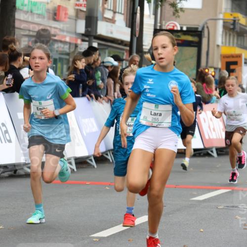 21.09.2025 - PSD Bank Halbmarathon Strokosch-Dieckow http://msf.ph/oto/8942026 21.09.2025 10:28:49 Ziel 109, 126, 142, 193, 194, 255, 258, 266, 337, 338, 357, 371, 388, 389, 397, 408, 412, 415, 440 meine-sportfotos.de