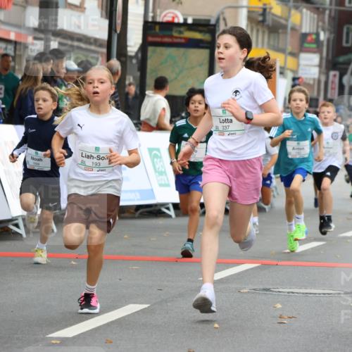 21.09.2025 - PSD Bank Halbmarathon Strokosch-Dieckow http://msf.ph/oto/8942038 21.09.2025 10:28:51 Ziel 109, 142, 167, 193, 194, 212, 255, 258, 266, 337, 338, 357, 388, 397, 408, 412, 415, 440 meine-sportfotos.de