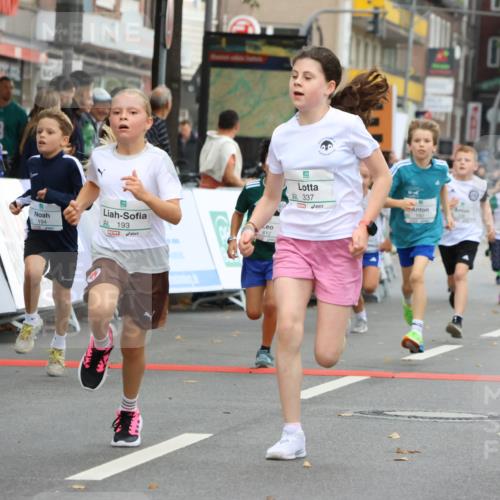 21.09.2025 - PSD Bank Halbmarathon Strokosch-Dieckow http://msf.ph/oto/8942040 21.09.2025 10:28:51 Ziel 109, 142, 167, 193, 194, 212, 255, 258, 266, 337, 338, 357, 388, 397, 408, 412, 415, 440 meine-sportfotos.de