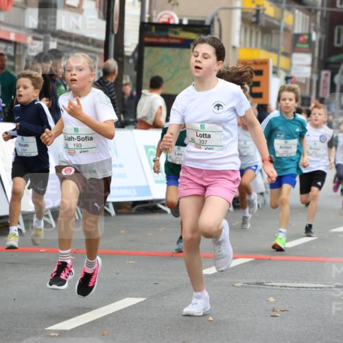 21.09.2025 - PSD Bank Halbmarathon Strokosch-Dieckow http://msf.ph/oto/8942042 21.09.2025 10:28:51 Ziel 109, 142, 167, 193, 194, 212, 255, 258, 266, 337, 338, 357, 388, 397, 408, 412, 415, 440 meine-sportfotos.de