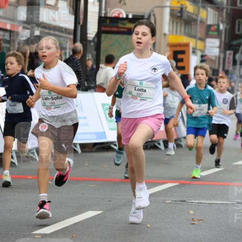 21.09.2025 - PSD Bank Halbmarathon Strokosch-Dieckow http://msf.ph/oto/8942044 21.09.2025 10:28:51 Ziel 109, 142, 167, 193, 194, 212, 255, 258, 266, 337, 338, 357, 388, 397, 408, 412, 415, 440 meine-sportfotos.de