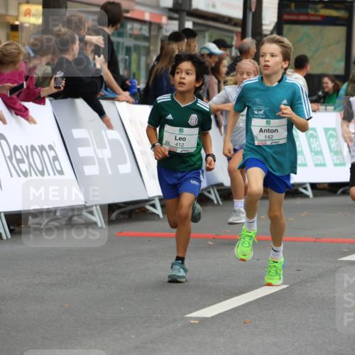 21.09.2025 - PSD Bank Halbmarathon Strokosch-Dieckow http://msf.ph/oto/8942051 21.09.2025 10:28:53 Ziel 109, 134, 142, 155, 167, 193, 194, 196, 212, 255, 258, 266, 294, 337, 338, 397, 412, 415, 440, 452 meine-sportfotos.de