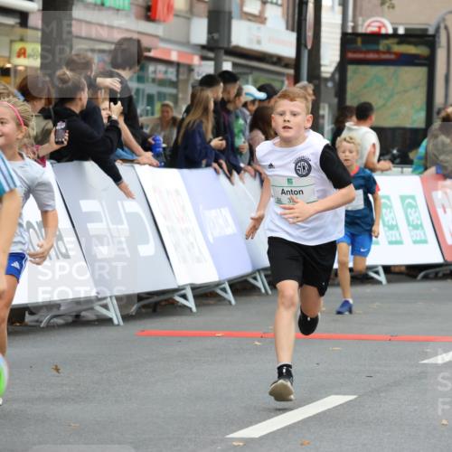 21.09.2025 - PSD Bank Halbmarathon Strokosch-Dieckow http://msf.ph/oto/8942066 21.09.2025 10:28:54 Ziel 109, 134, 142, 155, 167, 168, 193, 194, 196, 212, 255, 258, 267, 294, 337, 338, 397, 412, 415, 440, 452 meine-sportfotos.de