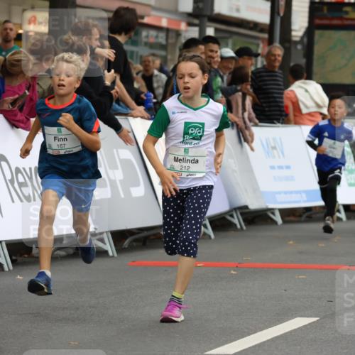 21.09.2025 - PSD Bank Halbmarathon Strokosch-Dieckow http://msf.ph/oto/8942081 21.09.2025 10:28:57 Ziel 109, 134, 142, 155, 167, 168, 193, 194, 196, 212, 255, 258, 267, 294, 337, 338, 412, 415, 452 meine-sportfotos.de