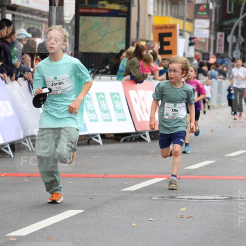 21.09.2025 - PSD Bank Halbmarathon Strokosch-Dieckow http://msf.ph/oto/8942099 21.09.2025 10:29:00 Ziel 134, 142, 155, 167, 168, 193, 194, 196, 212, 258, 267, 294, 337, 338, 412, 443, 452 meine-sportfotos.de