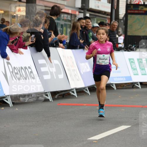 21.09.2025 - PSD Bank Halbmarathon Strokosch-Dieckow http://msf.ph/oto/8942117 21.09.2025 10:29:04 Ziel 134, 155, 167, 168, 196, 212, 267, 294, 327, 416, 443, 452 meine-sportfotos.de